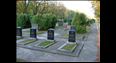 Kliknij aby zobaczyć pełen rozmiar